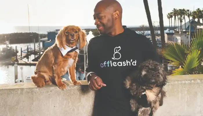 Offleashd Woos Pet Lovers with AI Matching, Secures Funding